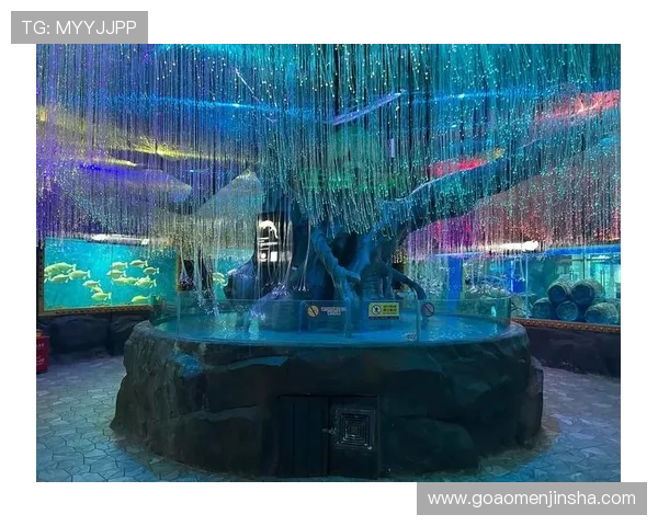 回力海立方详细攻略指南帮助新手快速上手游戏玩法与任务完成技巧